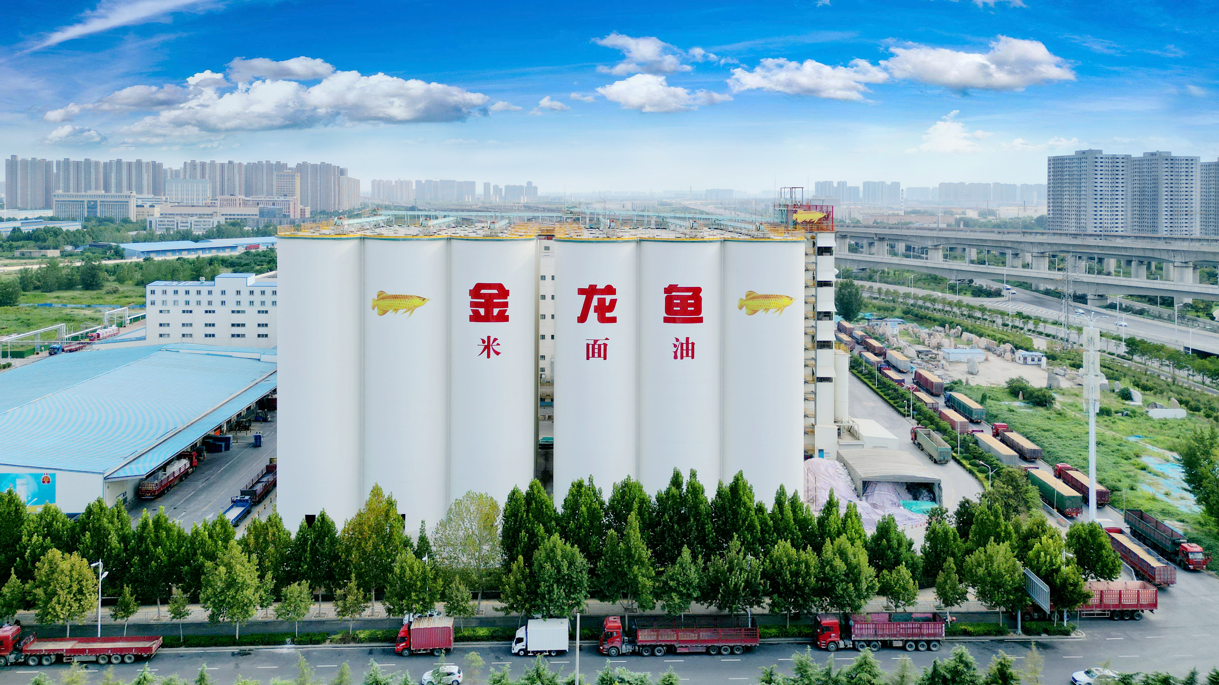 蝉联中国食品行业第一！！铭洋光电金龙鱼再次入选标普全球《可持续发展年鉴》